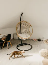 Hanging Chair with Stand ASPIO PE Rattan Natural_837188