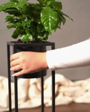 Elevated Plant Pot IDRA 15 cm Metal Black_976702