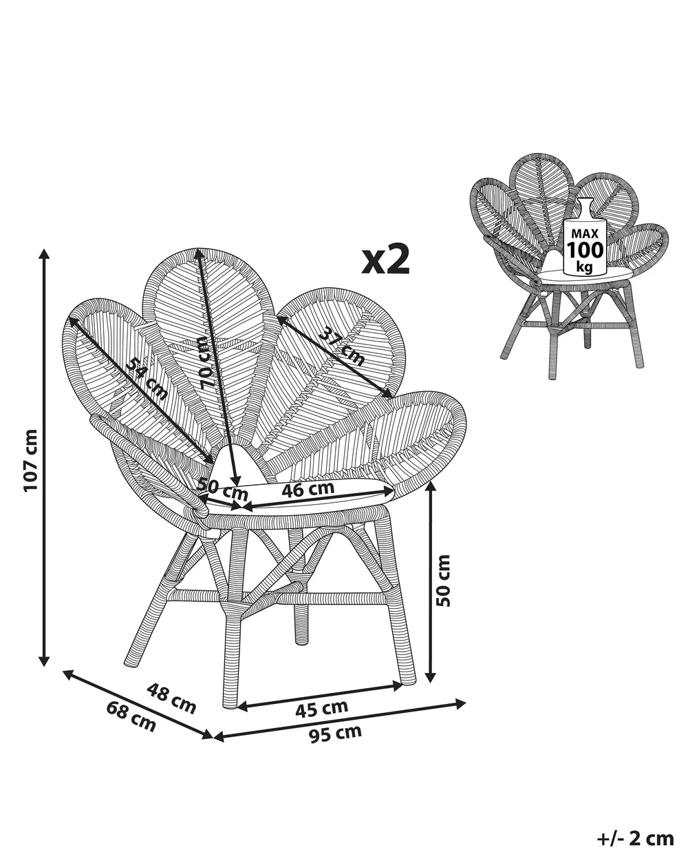 Set of 2 Peacock Chairs FLORENTINE Rattan Natural_793689