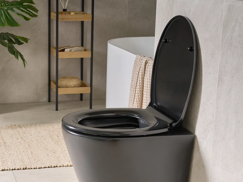 Toilet Seat PAPURI Soft Close Duroplast Black_1016483