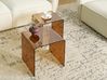 Set of 2 Side Tables KENDALL Tempered Glass Brown