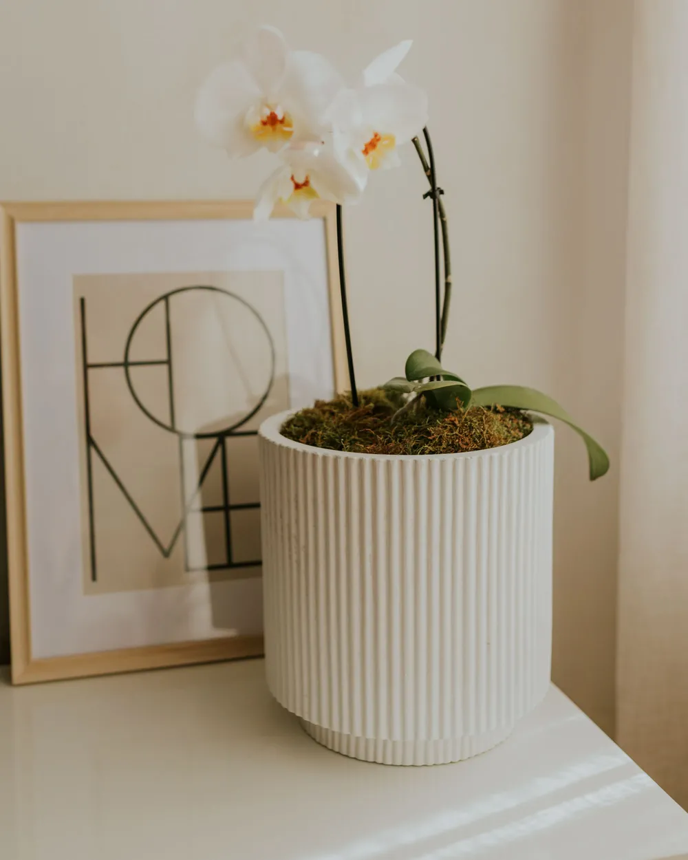 Plant Pot DARIA 24 cm Off-White_979710