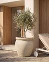 Plant Pot MACEDON 45 cm Off-White