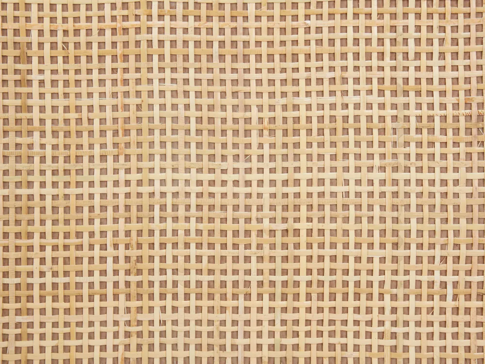 Shoe Storage Cabinet PEROTE Rattan Light Brown_916361