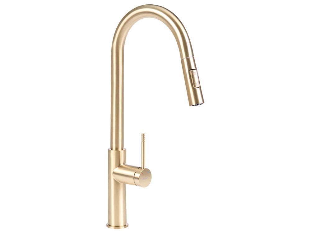 Kitchen Pull Out Tap PARANAM Gold