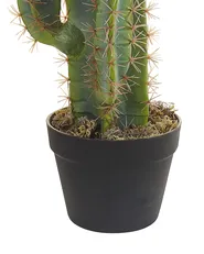 Artificial Plant CACTUS 78 cm Green_822892