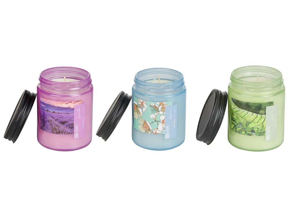 Set of 3 Scented Candles FRUITY BLOOM Soy Wax Fresh Notes Floral Notes