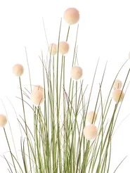 Artificial Plant POMPOM GRASS 120 cm Green_1018543