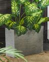 Plant Pot EDESSA 60 cm Grey