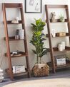 5 Tier Shelving Unit MOBILE DUO 169 cm Dark Brown