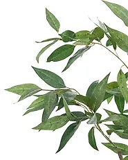Tekokasvi EUCALYPTUS TREE 128 cm Vihreä_1185263