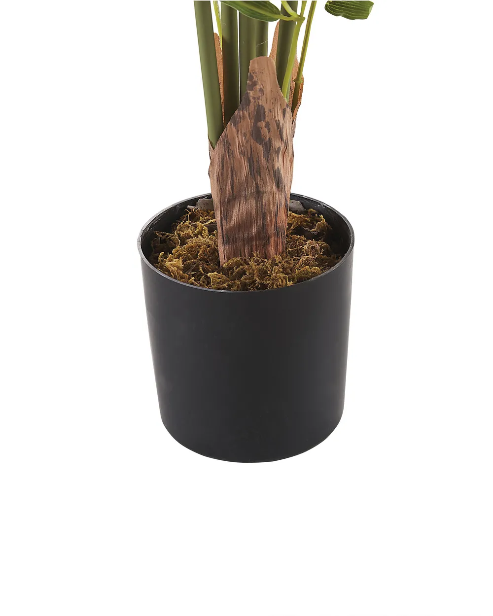 Tekokasvi BAMBUSA VULGARIS 100 cm Vihreä_774434