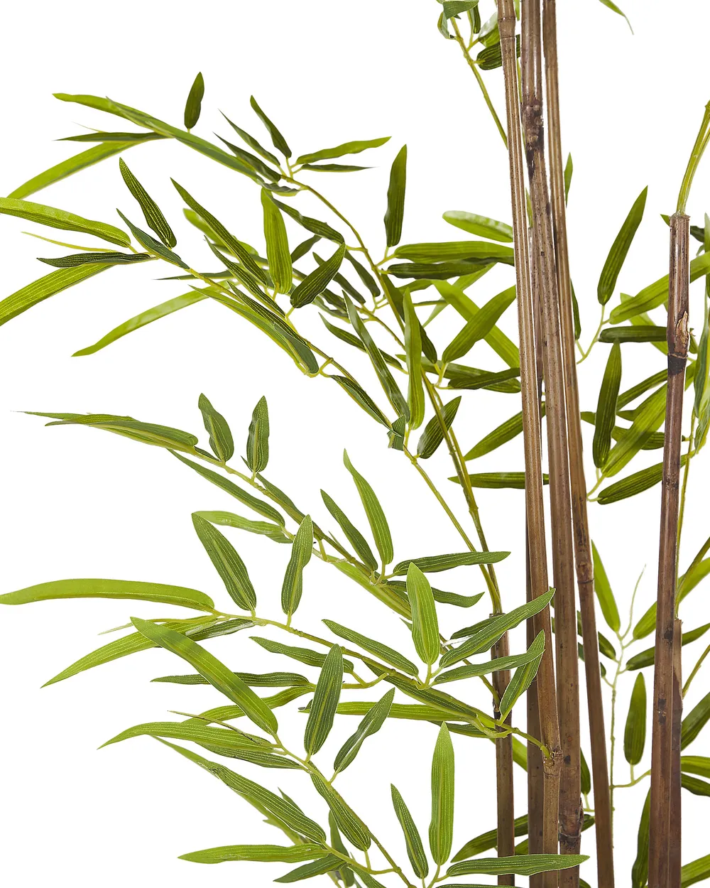 Konstgjord växt BAMBUSA VULGARIS 160 cm Grön_774413