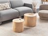 Set of 2 Coffee Tables MANTI Light Brown
