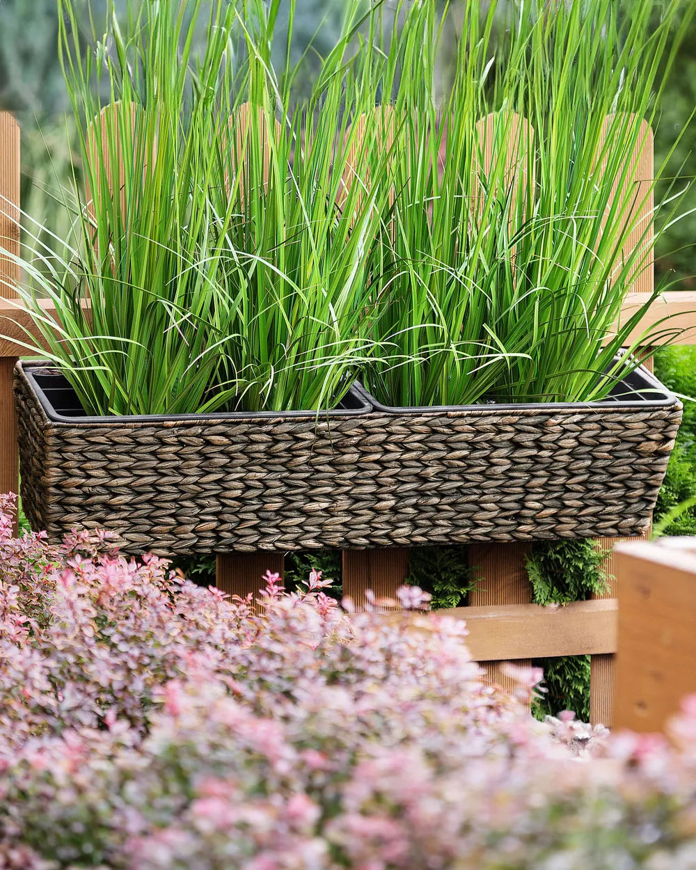 Plant Pot KAWALA 80 cm Brown