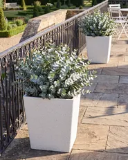 Sett med 2 plantepotter CYRODALIS 42 cm Hvit_1123836