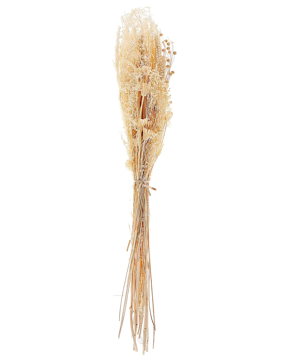 Torkad blombukett BRUNETE 65 cm Naturlig