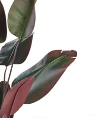 Artificial Plant BANANA TREE 163 cm Green_917267