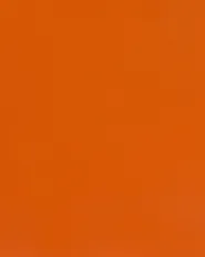 Garage Shelving FIUGGI 150 cm 200 cm Metal Orange_1011187