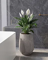 Blomkruka ENSTAL 32 cm Grå_1161752