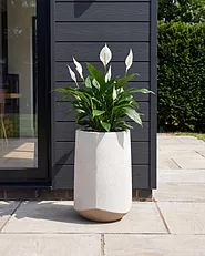 Blomkruka JAUNTAL  32 cm Off-White_1161795