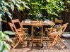 Garden Dining Set 4 Seater FRASSINE Acacia Wood Brown