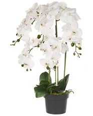 Konstgjord växt ORCHID 65 cm Vit_947558
