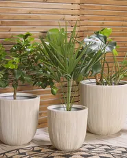 Plant Pot CHIOS 31 cm Beige_808085