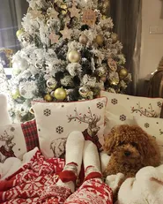 Blanket VANTAA 150 x 200 cm Red_853772