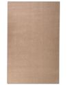 Shaggy Rug DEMRE Sand Beige 200 x 300 cm