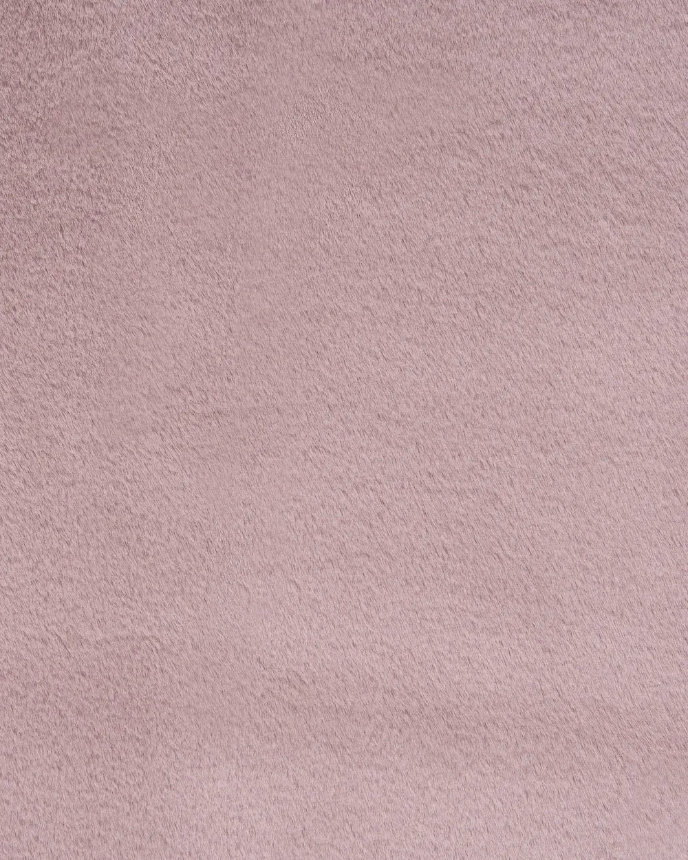 Rug PARSON Light Violet 80 x 120 cm_1101331