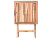 Bistro Set CONIOLO Acacia Wood Brown/ Black_987012