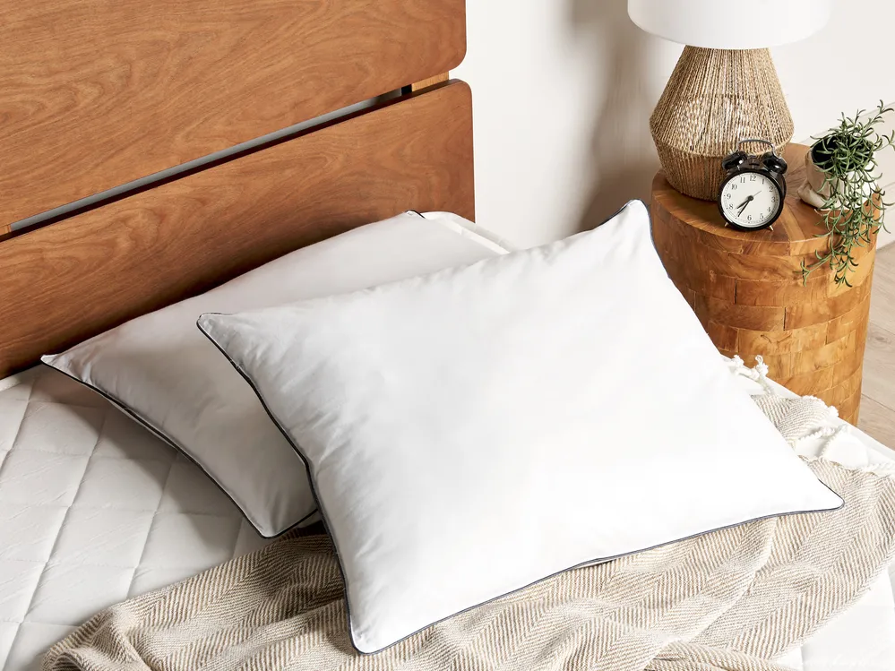 Set of 2 Bed Pillows PELISTER High 50 x 60 cm Microfibre White