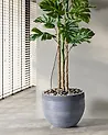 Blomkruka ZAKROS 50 cm Grå