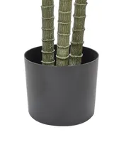 Artificial Plant DRACAENA ANITA 198 cm Green_917169