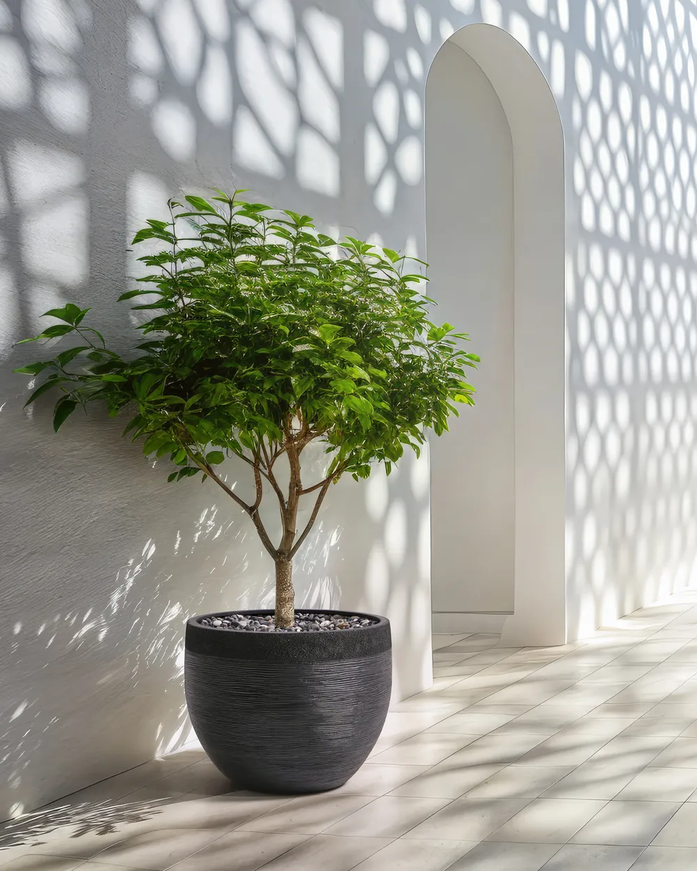 Plant Pot ZAKROS 50 cm Black