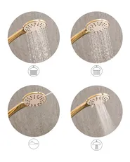 Shower Head and Hose Kit CHURUN 4-function Gold_1006547