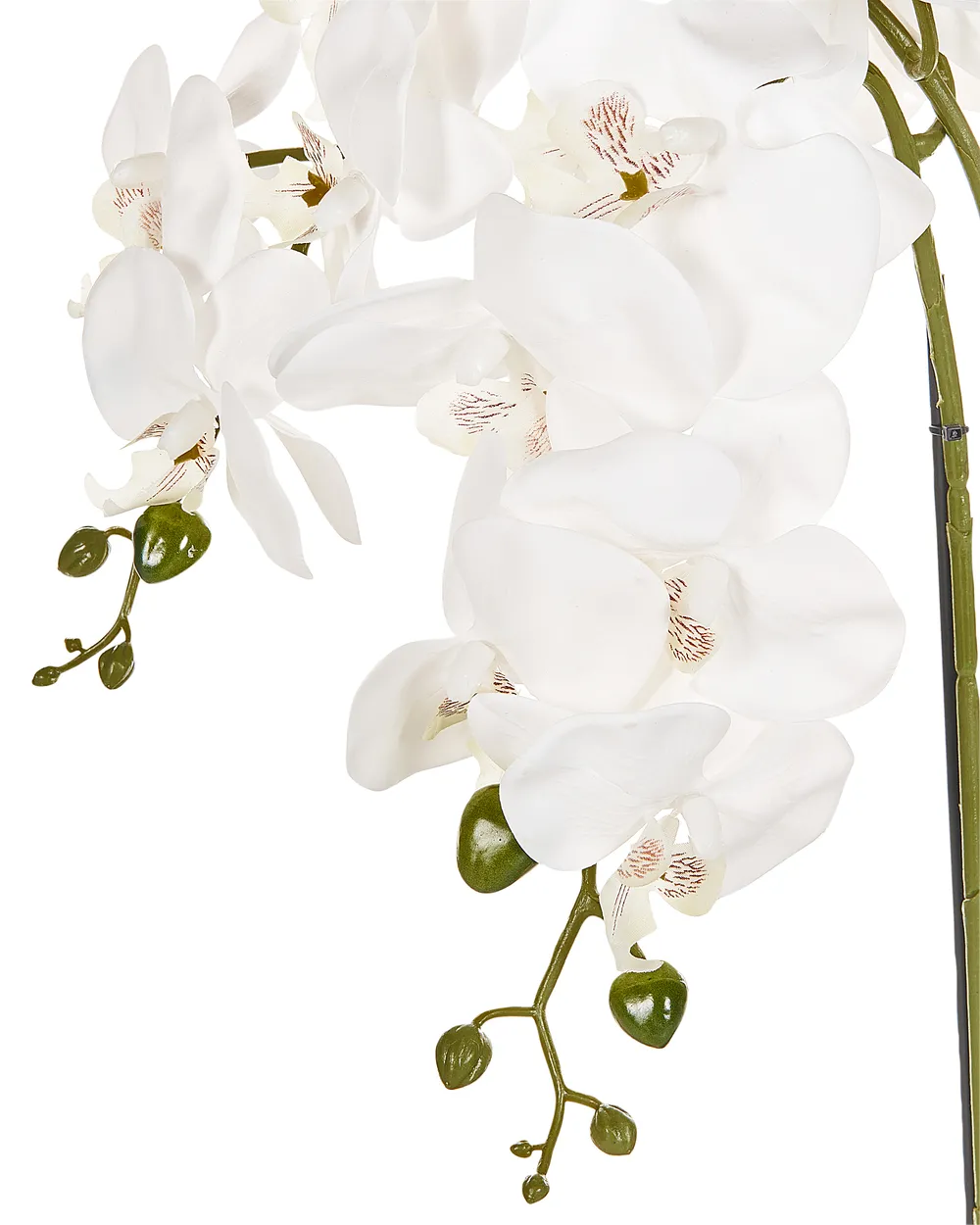 Tekokasvi ORCHID 59 cm Valkoinen_947269