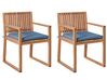 Set of 2 Garden Chairs with Cushions SASSARI PREMIUM Certified Acacia Wood Blue