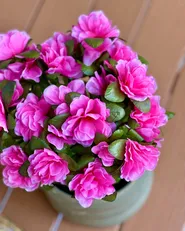 Artificial Plant NOVELLA 36 cm Pink_1076060