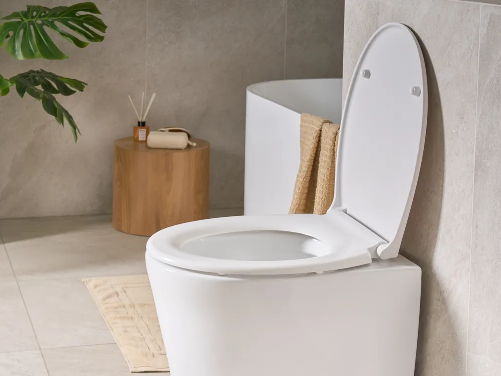 Toilet Seat PAPURI Soft Close Duroplast White_1016495