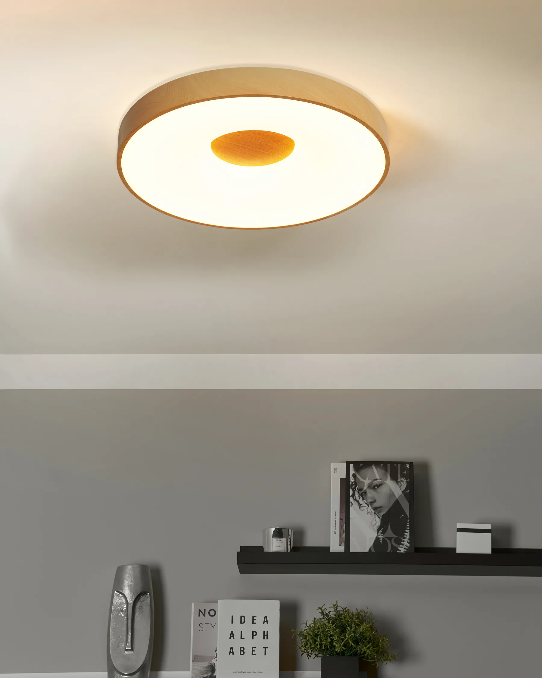 LED Ceiling Lamp BRAGOTO with Remote with Dimmer Metal Light Brown_919194