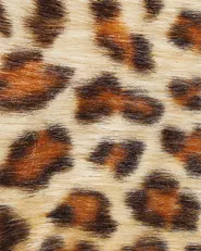 Faux Fur Rug NAMBUNG Brown 60 x 90 cm_790218