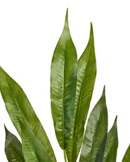 Artificial Plant WILLOW TREE 180 cm Green_1069893