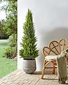 Tekokasvi CEDAR TREE 153 cm Vihreä