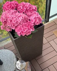 Blomkruka TENNO 30 cm Mörkbrun_1019836