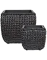Set med 2 växtkrukor BERBERIS 34/45 cm Konstrotting Svart