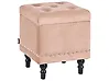 Säilytysrahi LORETTO Sametti Beige