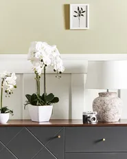 Tekokasvi ORCHID 59 cm Valkoinen_947267
