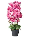 Artificial Plant ORCHID 65 cm Pink